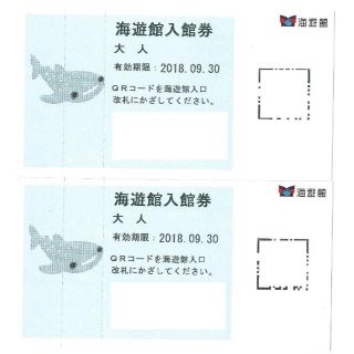 海遊館 入館券 大人2枚&オリジナルグッズ2個 2020年3月31日まで利用可能