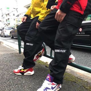 ザノースフェイス(THE NORTH FACE)のSTABRIDGE GORE-FLEX カーゴパンツ(ワークパンツ/カーゴパンツ)