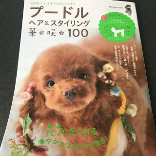 プードルヘアカタログ(犬)