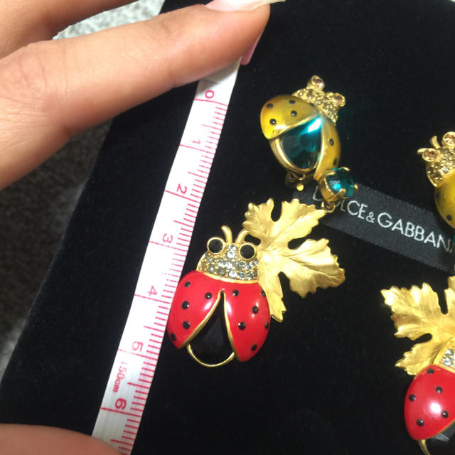 DOLCE&GABBANA(ドルチェアンドガッバーナ)の新品同様Dolce&Gabbana運気UP☺️てんとう虫イヤリング♡ レディースのアクセサリー(イヤリング)の商品写真