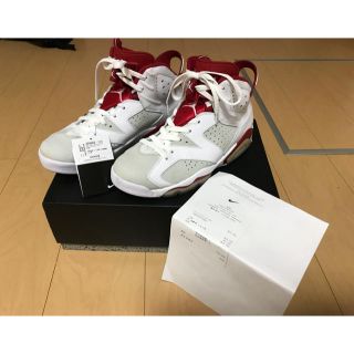 ナイキ(NIKE)のAir jordan6 オルタネイト(スニーカー)