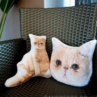全2種セット 猫のマッシュ でっかいプリントクッション リアルプリント 猫の通販 By ホシ S Shop ラクマ 全2種セット 猫のマッシュ でっかいプリントクッション リアルプリント 猫の通販 By ホシ S Shop ラクマ