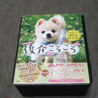 タカラジマシャ(宝島社)の俊介ころころ写真集(犬)