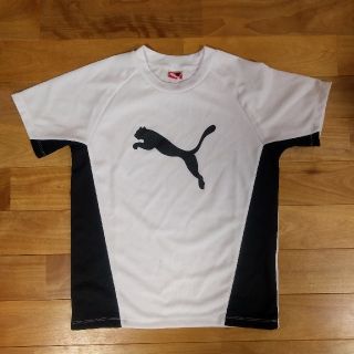 プーマ(PUMA)のPUMA　プーマ　Tシャツ　140(Tシャツ/カットソー)