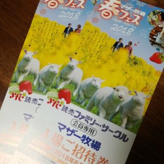 マザー牧場　入園券　2枚(遊園地/テーマパーク)