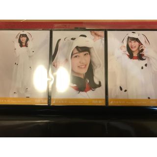 ノギザカフォーティーシックス(乃木坂46)の乃木坂46 生写真 干支 戌 向井葉月 コンプ(アイドルグッズ)