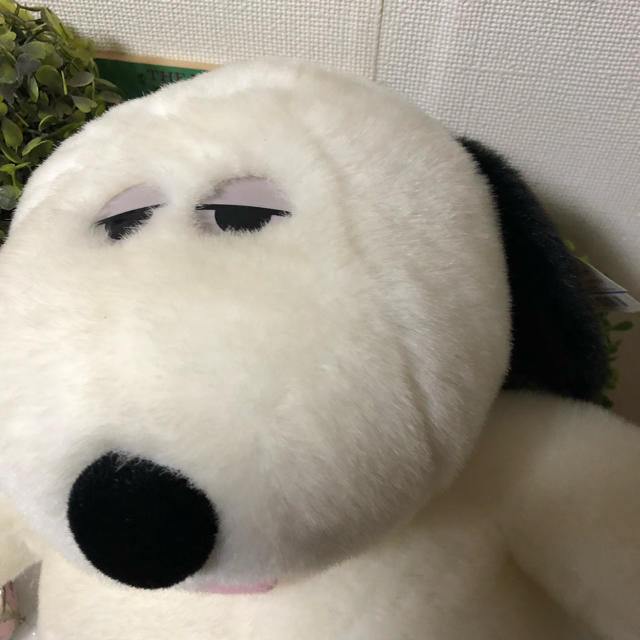 Snoopy スヌーピー オラフ ぬいぐるみ ファミリアの通販 By まっちゃん S Shop スヌーピーならラクマ