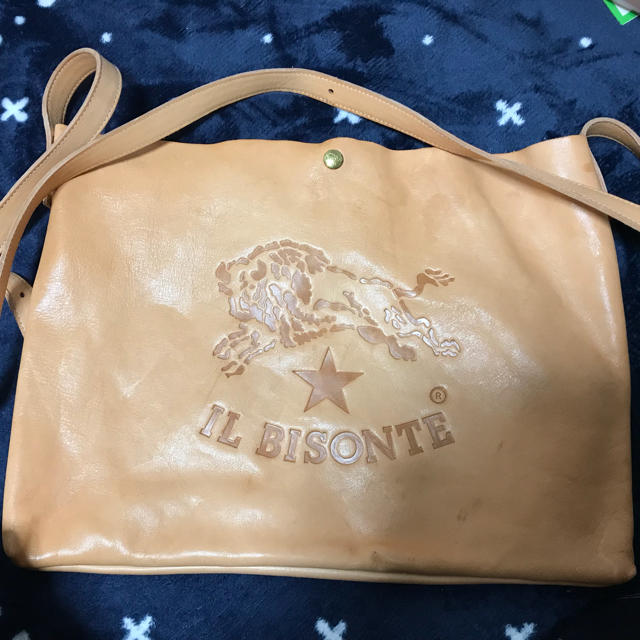 IL BISONTE