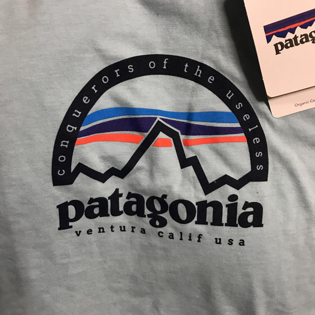 patagonia(パタゴニア)の新品未使用♡パタゴニア Tシャツ レディースのトップス(Tシャツ(半袖/袖なし))の商品写真