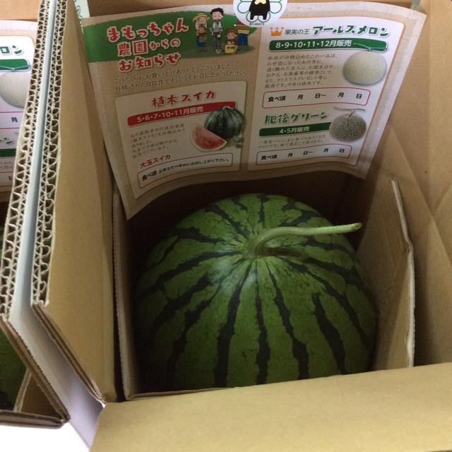 【産地直送】熊本県植木産 大玉スイカ 羅皇 約7kg 食品/飲料/酒の食品(フルーツ)の商品写真