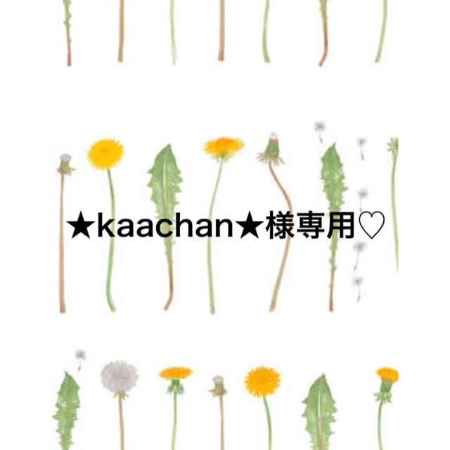 ★kaachan★様専用♡ コスメ/美容のベースメイク/化粧品(ファンデーション)の商品写真