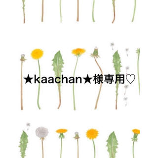 ★kaachan★様専用♡(ファンデーション)