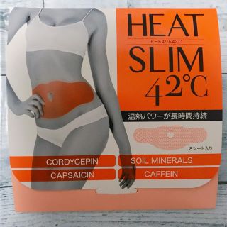 ヒートスリム42°C(その他)