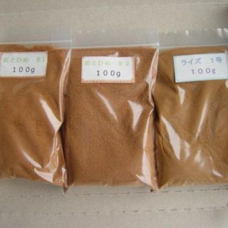 めだかの餌　ライズ　おとひめ　１００g　セット(アクアリウム)