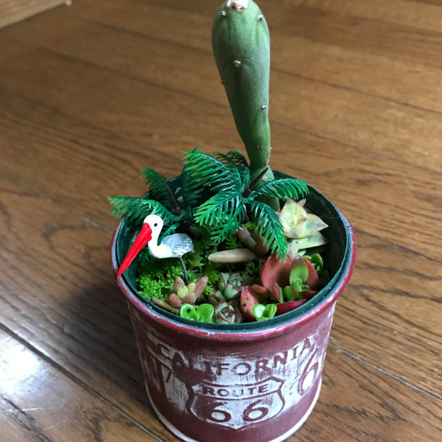 多肉植物 寄せ植え サボテン #ペリカン ハンドメイドのフラワー/ガーデン(その他)の商品写真