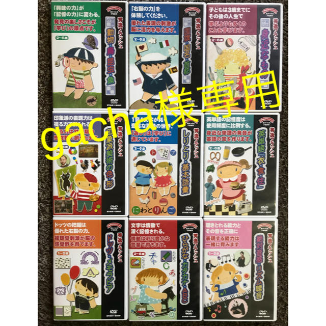 【専用】秀逸フラッシュDVD9本セット+取組ノート 大人気 幼児教育