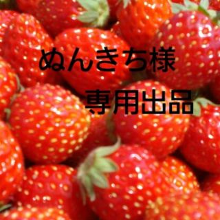 ぬんきち様専用出品(その他)