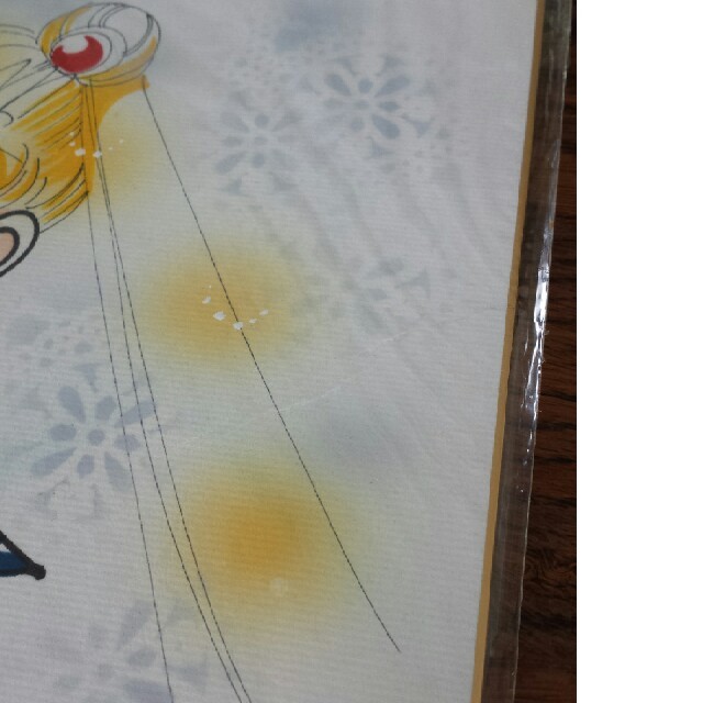 セーラームーン 武内直子先生 直筆カラーイラスト&サイン色紙の セーラームーン 武内直子先生 直筆カラーイラスト&サイン色紙の