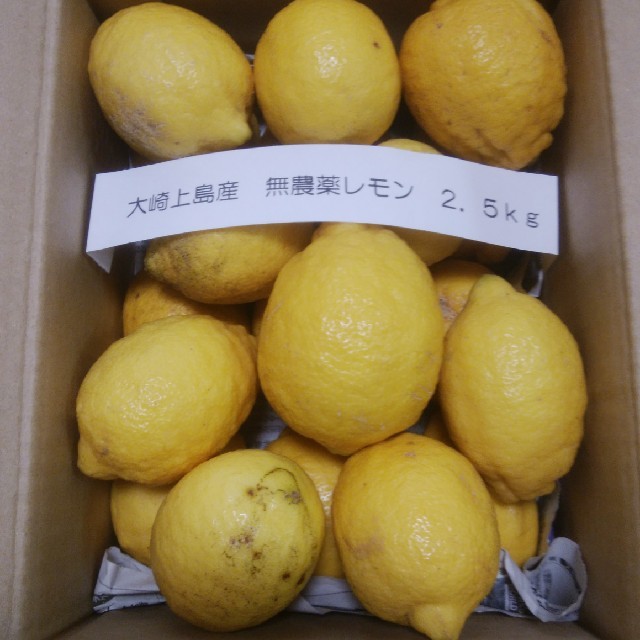 広島県大崎上島産　無農薬レモン　大2.5kg 食品/飲料/酒の食品(フルーツ)の商品写真