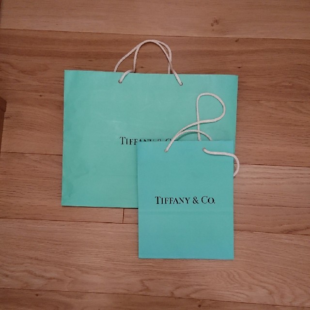 Tiffany & Co.(ティファニー)のティファニーの袋、二枚セット レディースのバッグ(ショップ袋)の商品写真