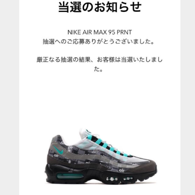 Nike AirMax95 PRNT atmos