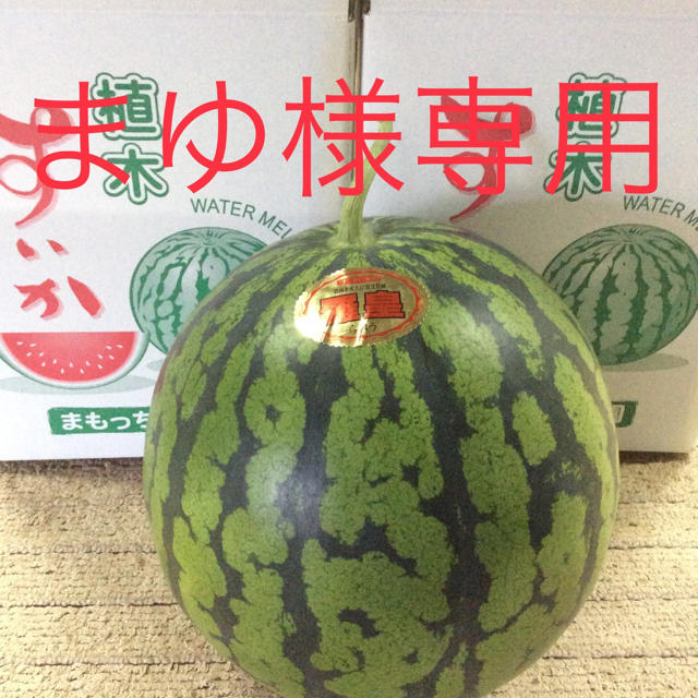 まゆ様専用 食品/飲料/酒の食品(フルーツ)の商品写真