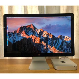 アップル(Apple)のdaiさん専用 thunderbolt display(ディスプレイ)