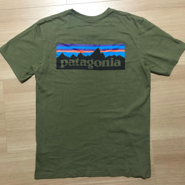 patagonia(パタゴニア)のパタゴニア Patagonia メンズTシャツ Buffalo Green メンズのトップス(Tシャツ/カットソー(半袖/袖なし))の商品写真