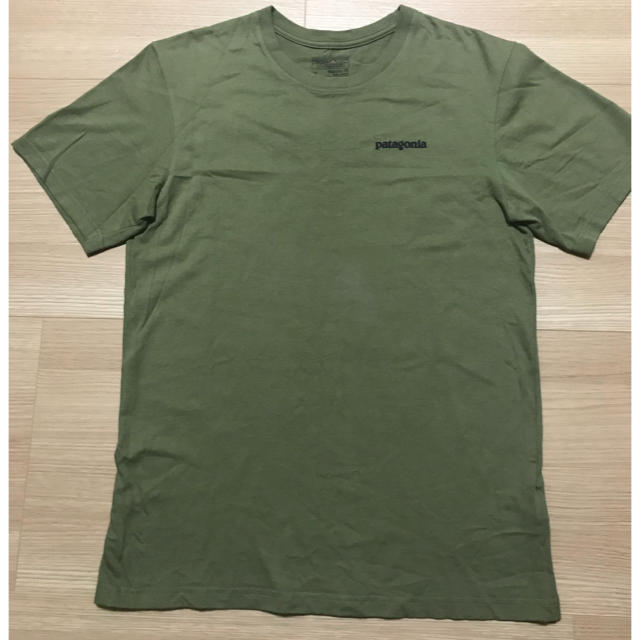 patagonia(パタゴニア)のパタゴニア Patagonia メンズTシャツ Buffalo Green メンズのトップス(Tシャツ/カットソー(半袖/袖なし))の商品写真