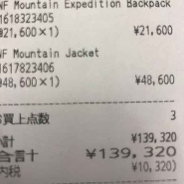 Supreme(シュプリーム)のS supreme north face mountain parka 雪山 メンズのジャケット/アウター(マウンテンパーカー)の商品写真