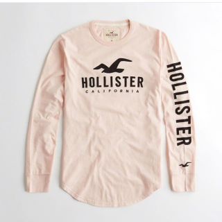 ホリスター(Hollister)の☆★ホリスター HOLLISTER メンズロンT  新品未使用☆(Tシャツ/カットソー(七分/長袖))