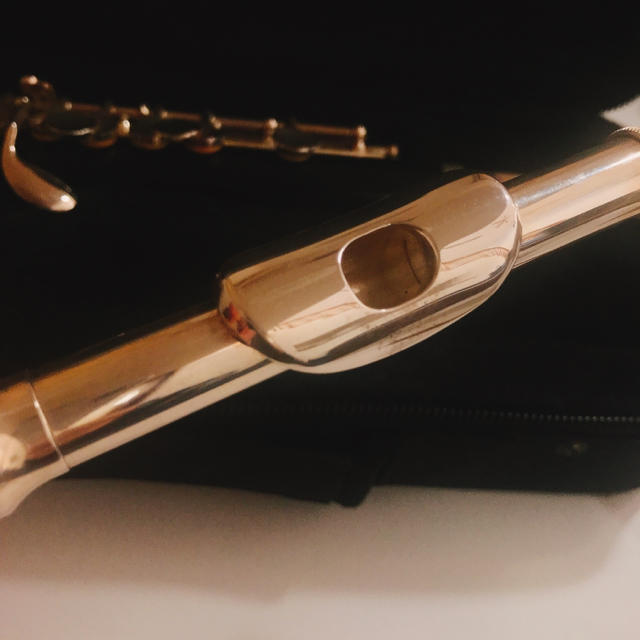楽器 ピッコロ 楽器 ピッコロ