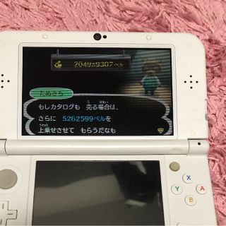 ニンテンドー3ds とびだせ どうぶつの森 ソフトの通販 By ことり S Shop ニンテンドー3ds ならラクマ