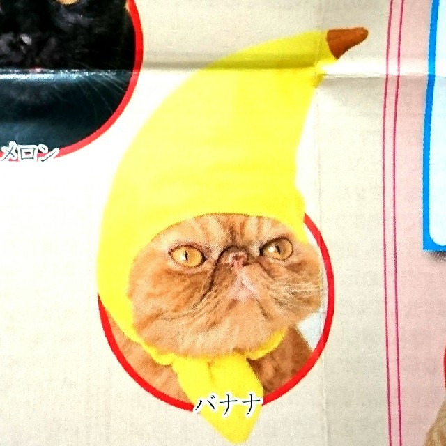 ねこのかぶりもの バナナ その他のペット用品(その他)の商品写真