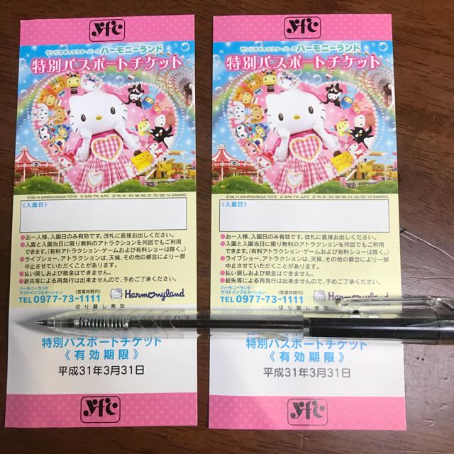 【送料込】ハーモニーランド パスポート 【2枚】