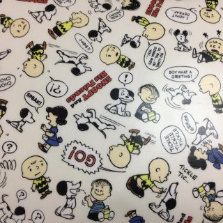 Snoopy スヌーピー ラミネート 生地の通販 ラクマ Snoopy スヌーピー ラミネート 生地の通販 ラクマ