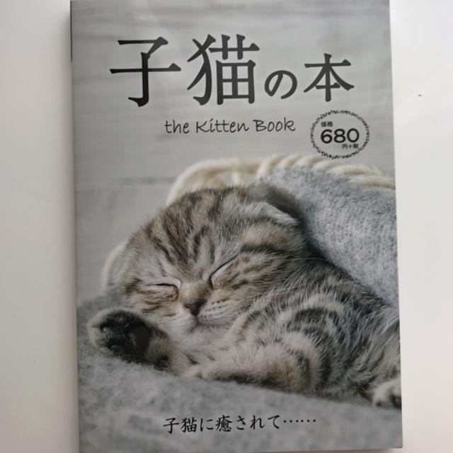 子猫の本 その他のペット用品(猫)の商品写真