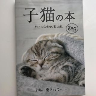 子猫の本(猫)