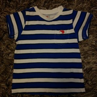 カンタベリー(CANTERBURY)のCanterbury　美品　Tシャツ　100(Tシャツ/カットソー)