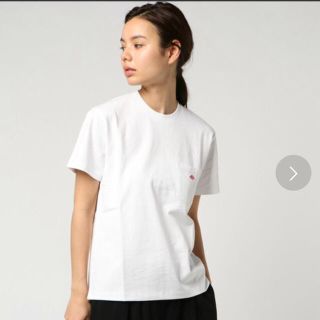 ダントン(DANTON)の【かなだい様 専用】Danton Tシャツ 新品(Tシャツ(半袖/袖なし))