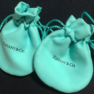 ティファニー(Tiffany & Co.)のティファニー 保存袋(ショップ袋)