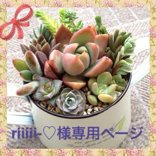 riiiii-♡様専用ページ♪オーダー(オーダーメイド)