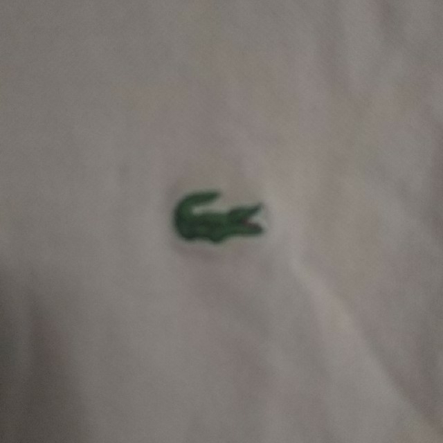 LACOSTE(ラコステ)のラコステ半袖Tシャツ レディースのトップス(ポロシャツ)の商品写真