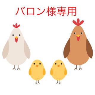 鳥皮せんべい(その他)