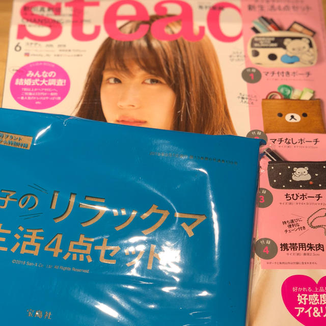 Steady6月号付録 レディースのファッション小物(ポーチ)の商品写真