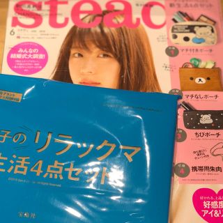 Steady6月号付録(ポーチ)