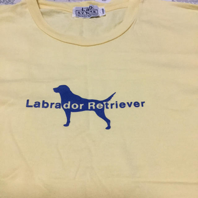 Labrador Retriever(ラブラドールリトリーバー)のラブラドールレトリーバーTシャツ レディースのトップス(Tシャツ(半袖/袖なし))の商品写真