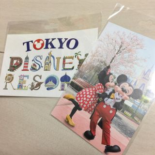 ディズニー(Disney)のディズニー ポストカード ２点セット(使用済み切手/官製はがき)