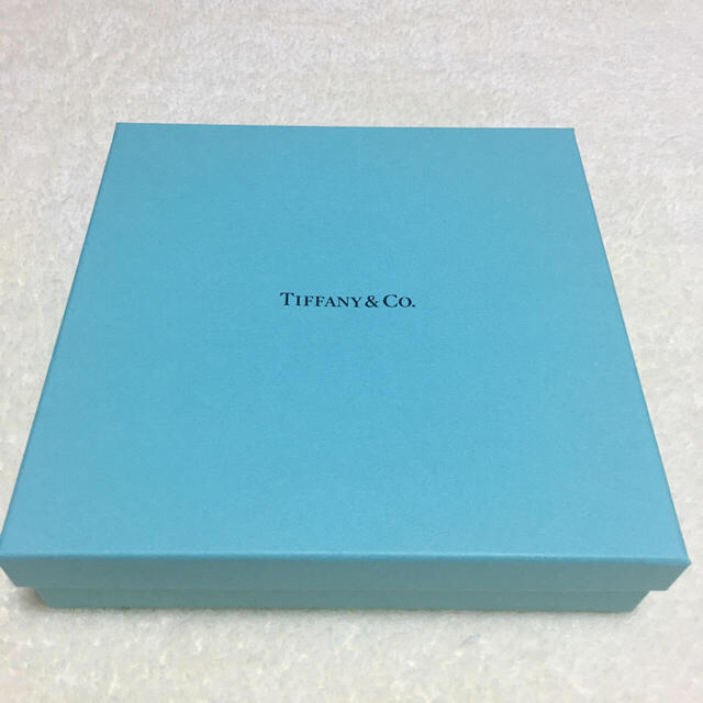 Tiffany & Co.(ティファニー)のティファニー 5thアベニュー箱 レディースのバッグ(ショップ袋)の商品写真