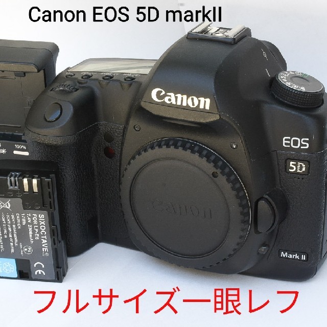 最安 Canon - Canon EOS 5D markII mark2 mk2 フルサイズ一眼レフ